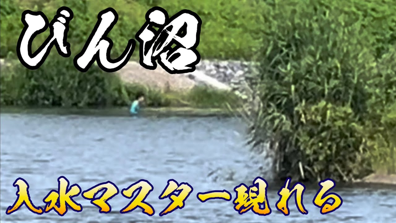 びん沼でへらぶな釣り！入水マスターが気になって釣りに集中出来ませんwここはガンジス川か？毒蛇ヤマカガシと亀にも遭遇w
