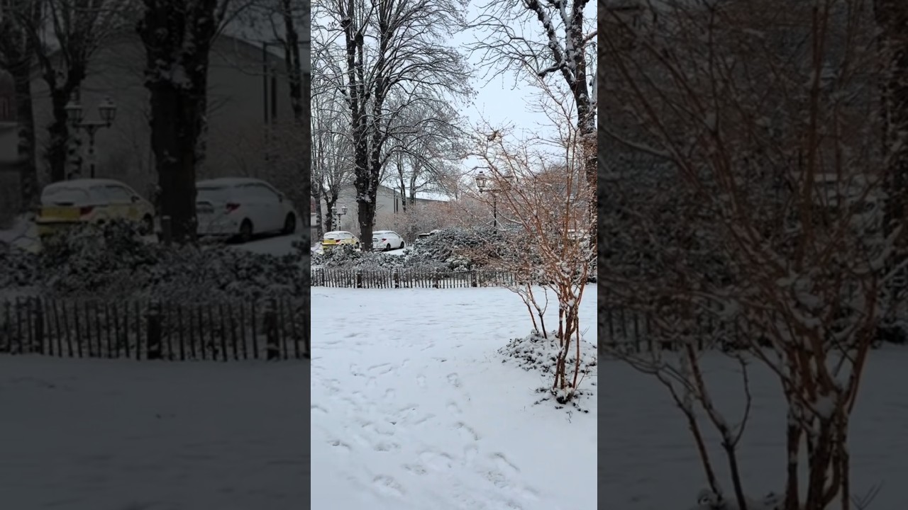 Borrasca Francis Enero 2026 