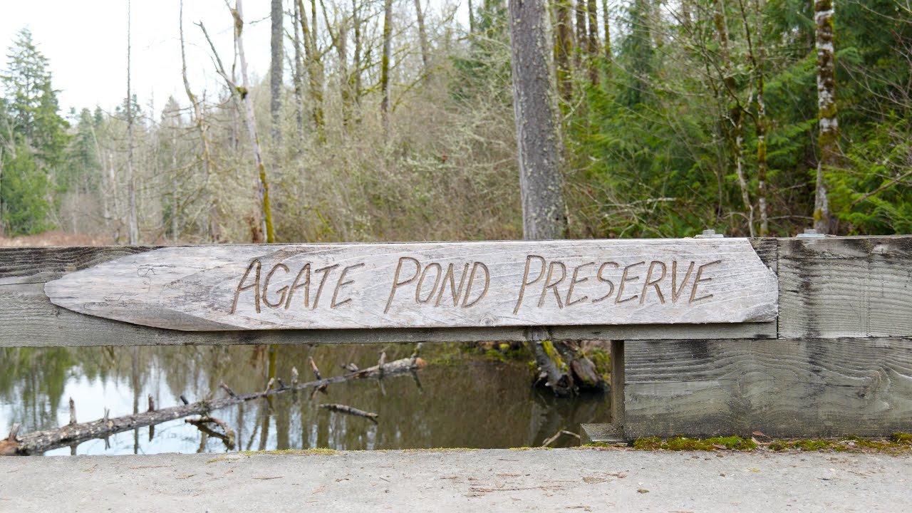 A Dream Wild Land: Walking Through 40 Years of Stewardship