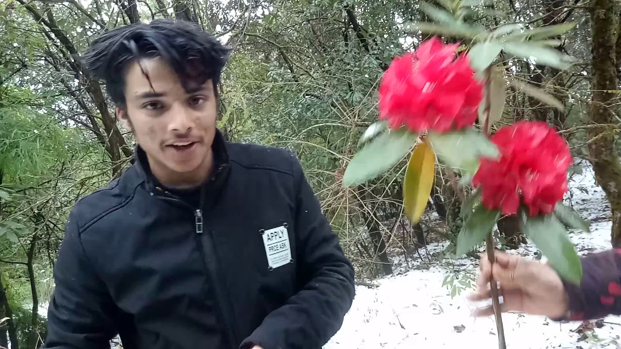 Phulchoki snowfall