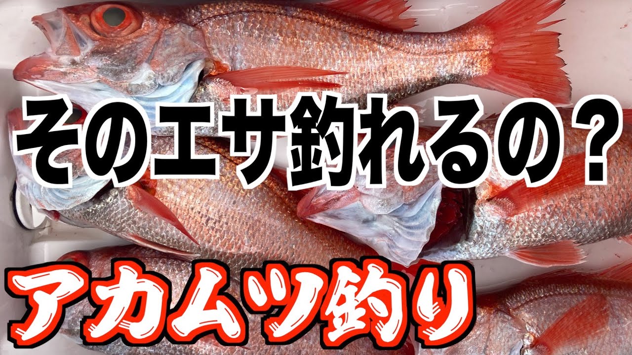 【アカムツ釣り】そのエサ釣れるんですか？仕掛けをあげたら奇跡が起きた！
