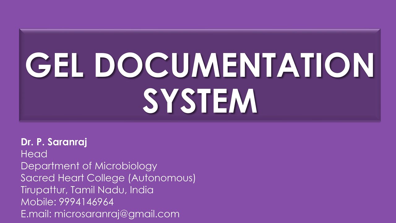 Gel Documentation System