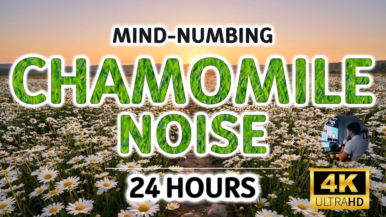 Mind-numbing Chamomile Noise For Study, Sleep, Tinnitus Relief and Focus (24 Hours) - BLACK SCREEN