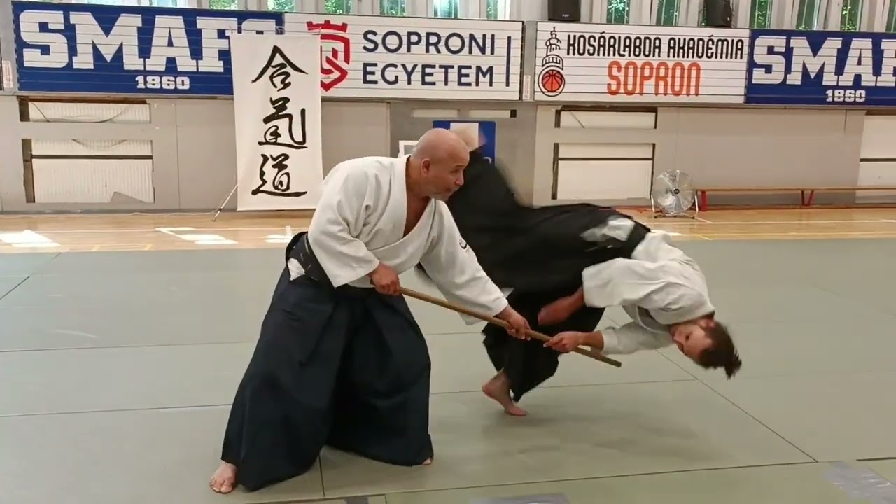 Jaff Raji Sensei, Aikido Classes (summing-up), Sopron, 2024