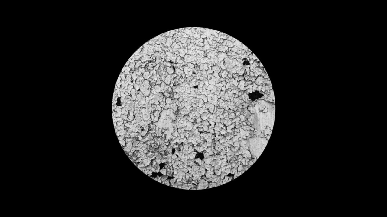 Andreev & Acusmouse - Shivers