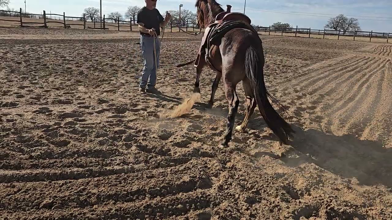 Basta Tries the Arena