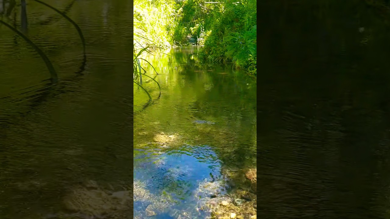 St. Peters River, Rural St. Andrew