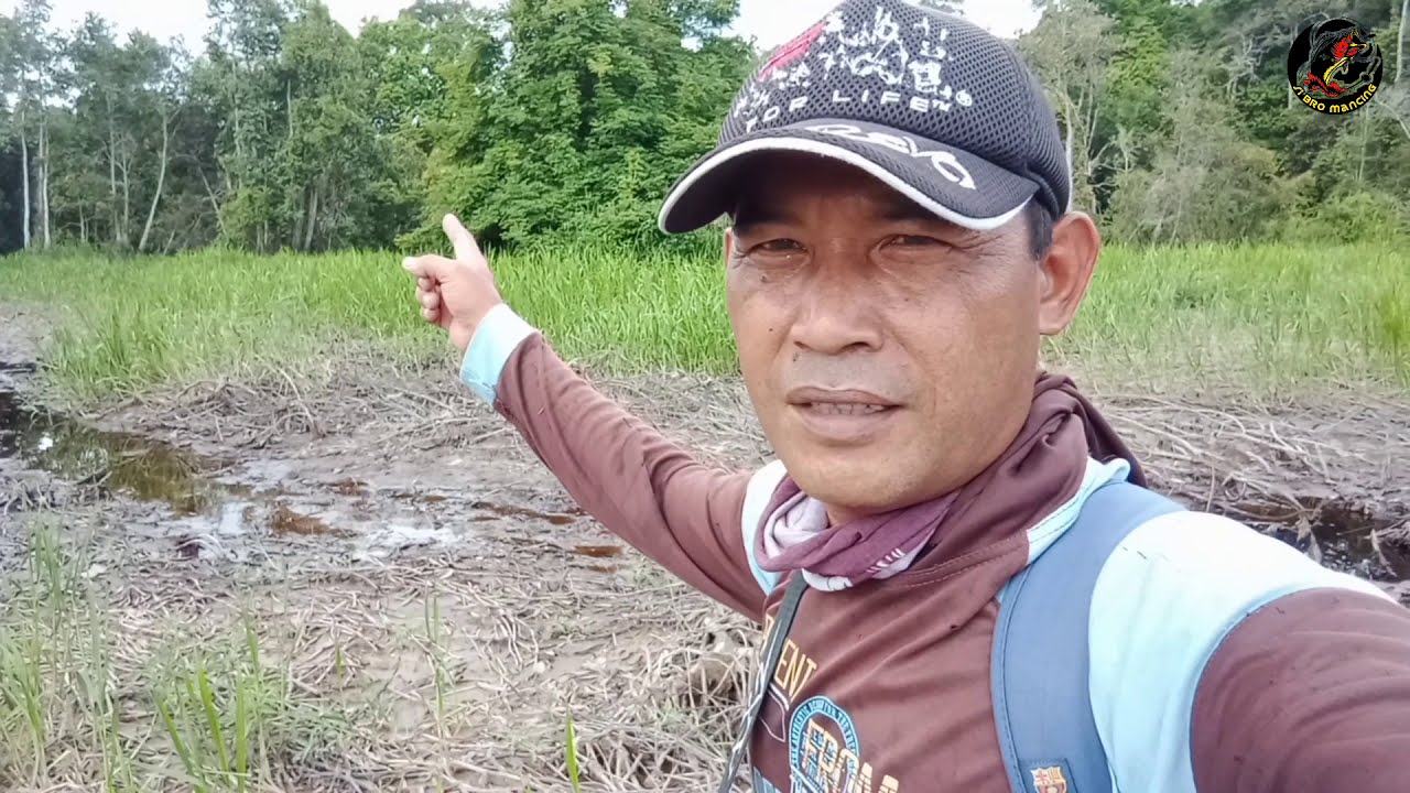 mancing ikan dihutan Kalimantan ..serunya kelewatan !!!