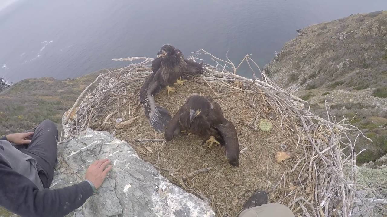 West End Banding 5/10/16