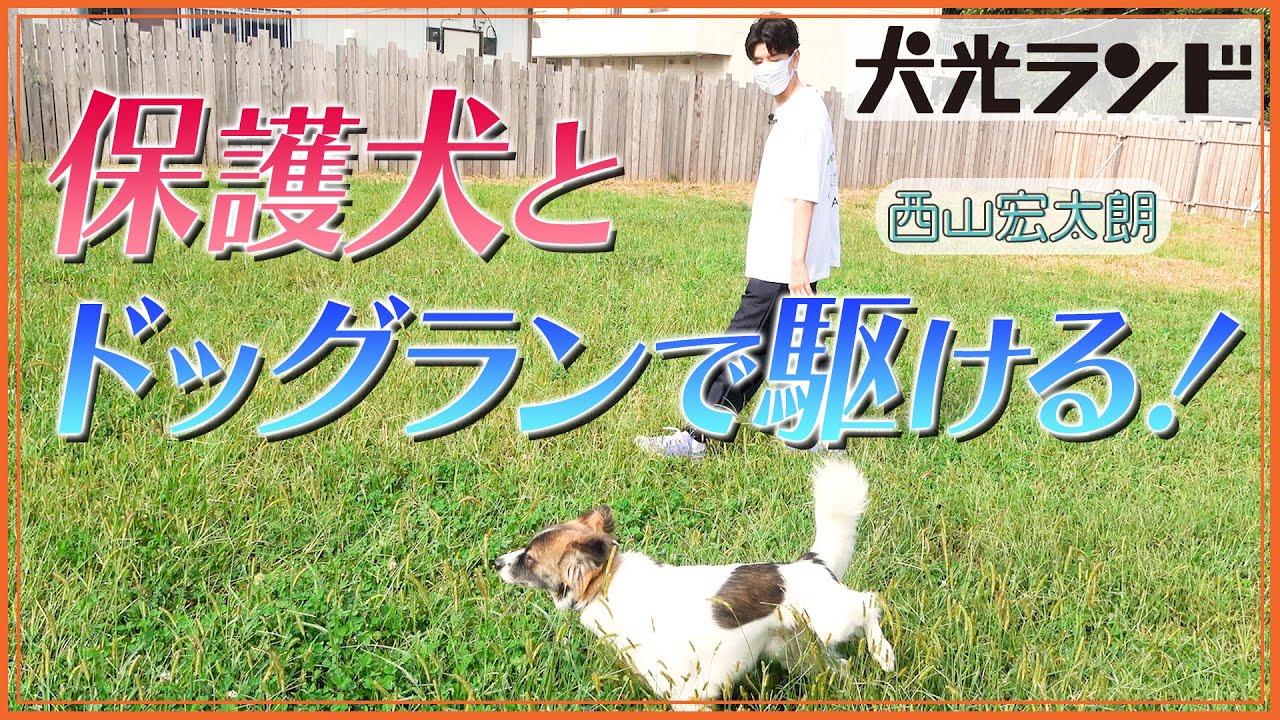 【西山宏太朗ドッグランで大はしゃぎ！】犬光ランド【後編】