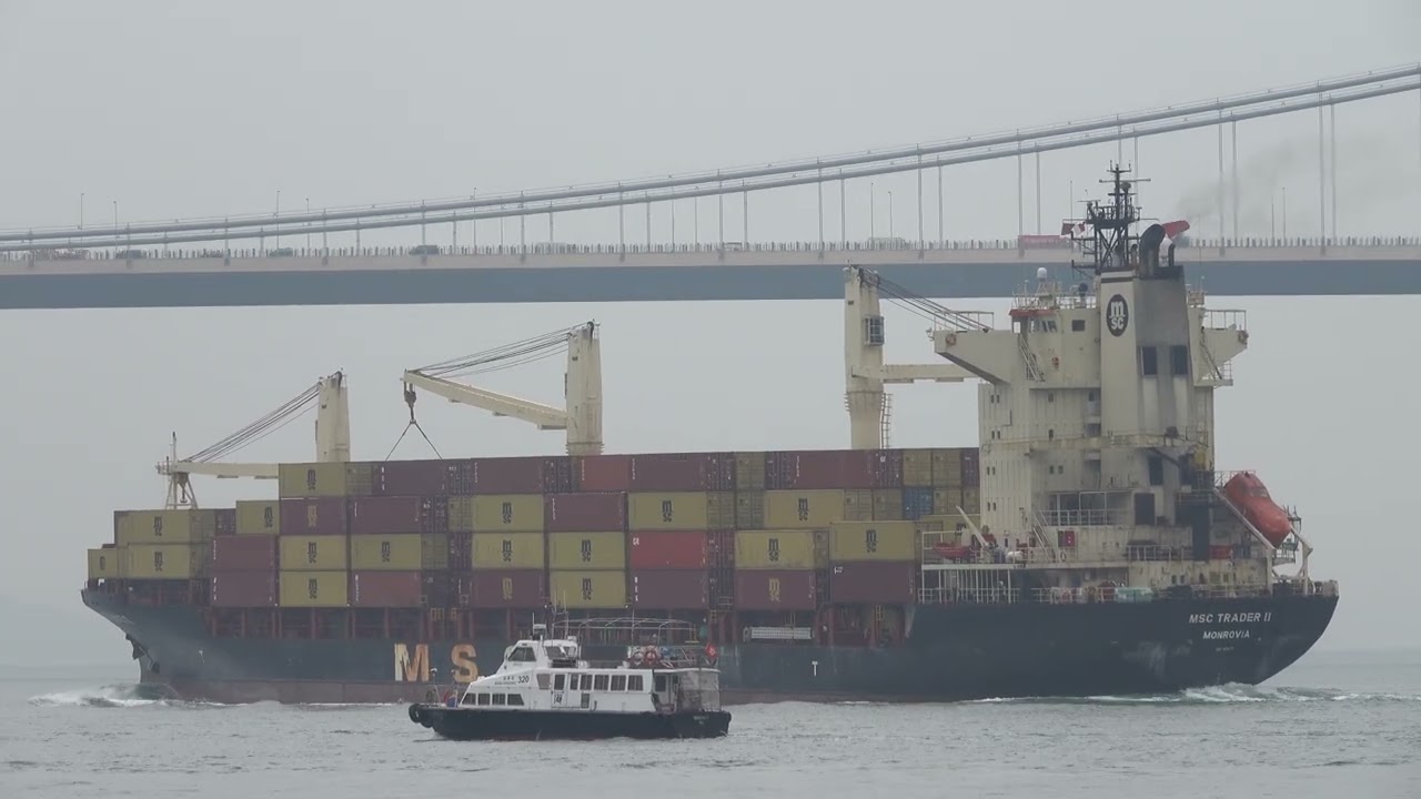 Container Ship《MSC TRADER II》Crossing the Tsing Ma Bridge in HK 20260128_C0034