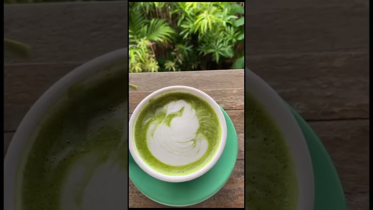 My December Break(travel vlog)