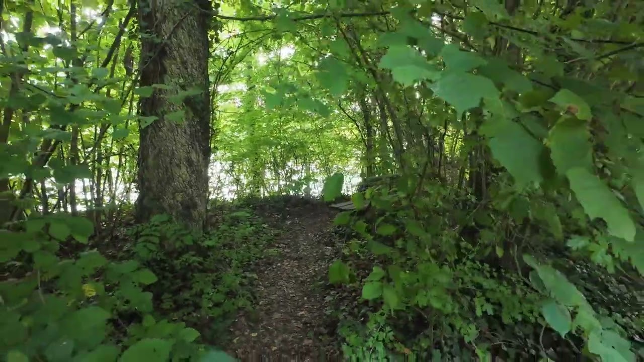 Schlosspark Kleinheubach