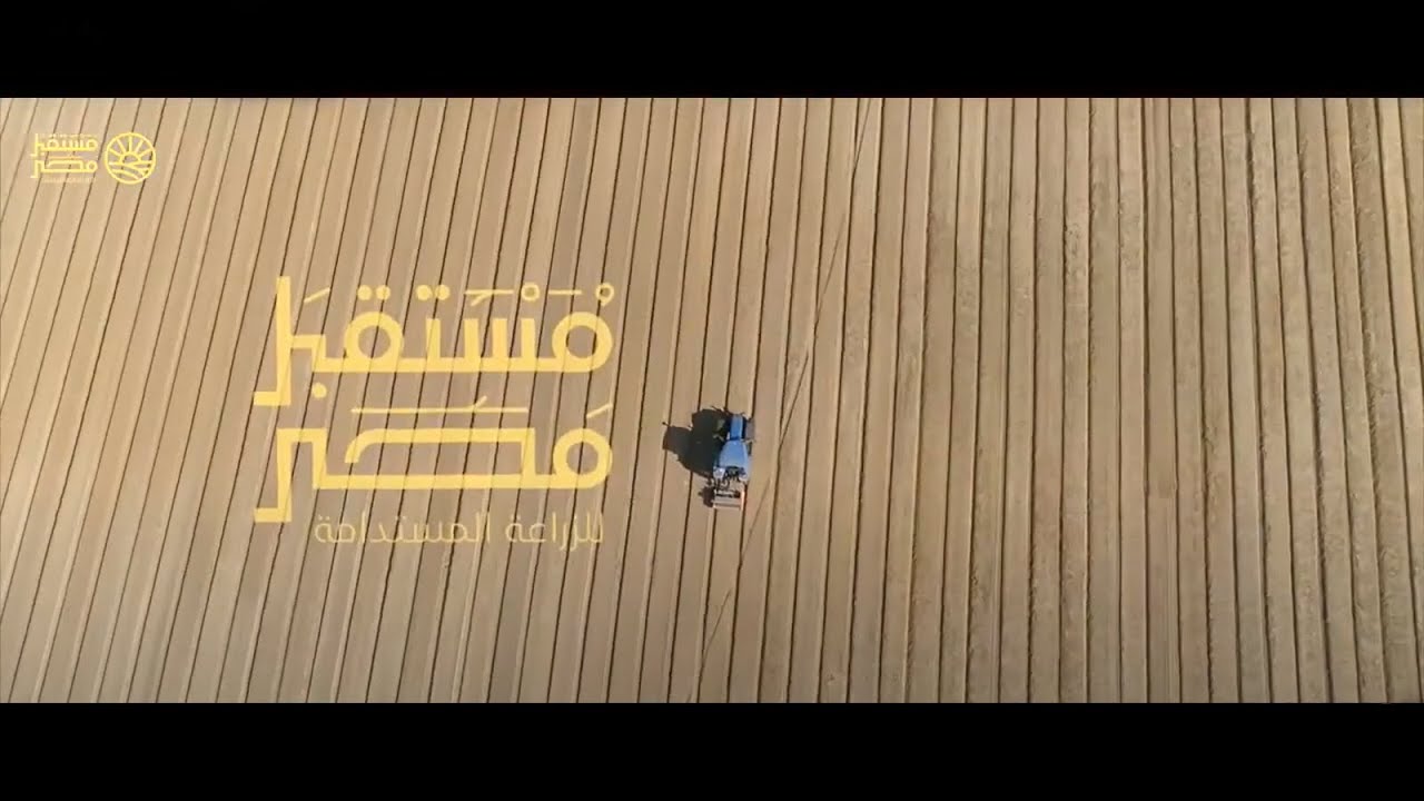 مشروع 