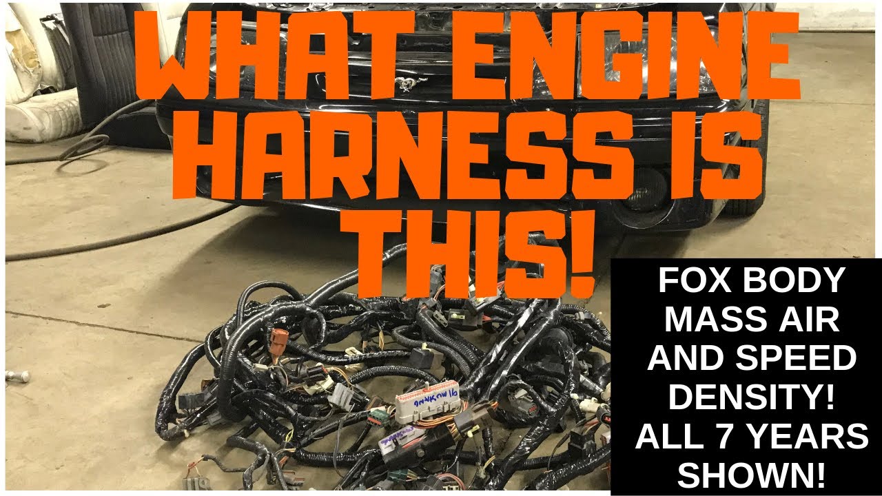 COMPLETE GUIDE Mass Air & Speed Density Engine Harness ALL 7 years covered! 87-93 Ford Mustang
