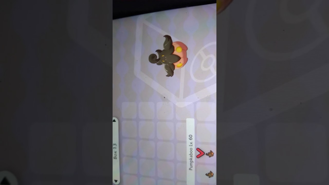 Pumpkaboo Sword and Shield Sizes