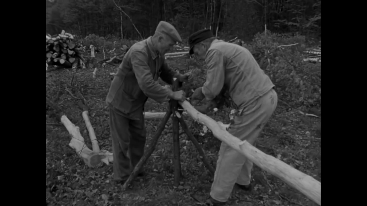 Die Waldnachbarschaft in Bladersbach. Teil 2: Nutzung des Gemeinschaftswaldes im Frühjahr