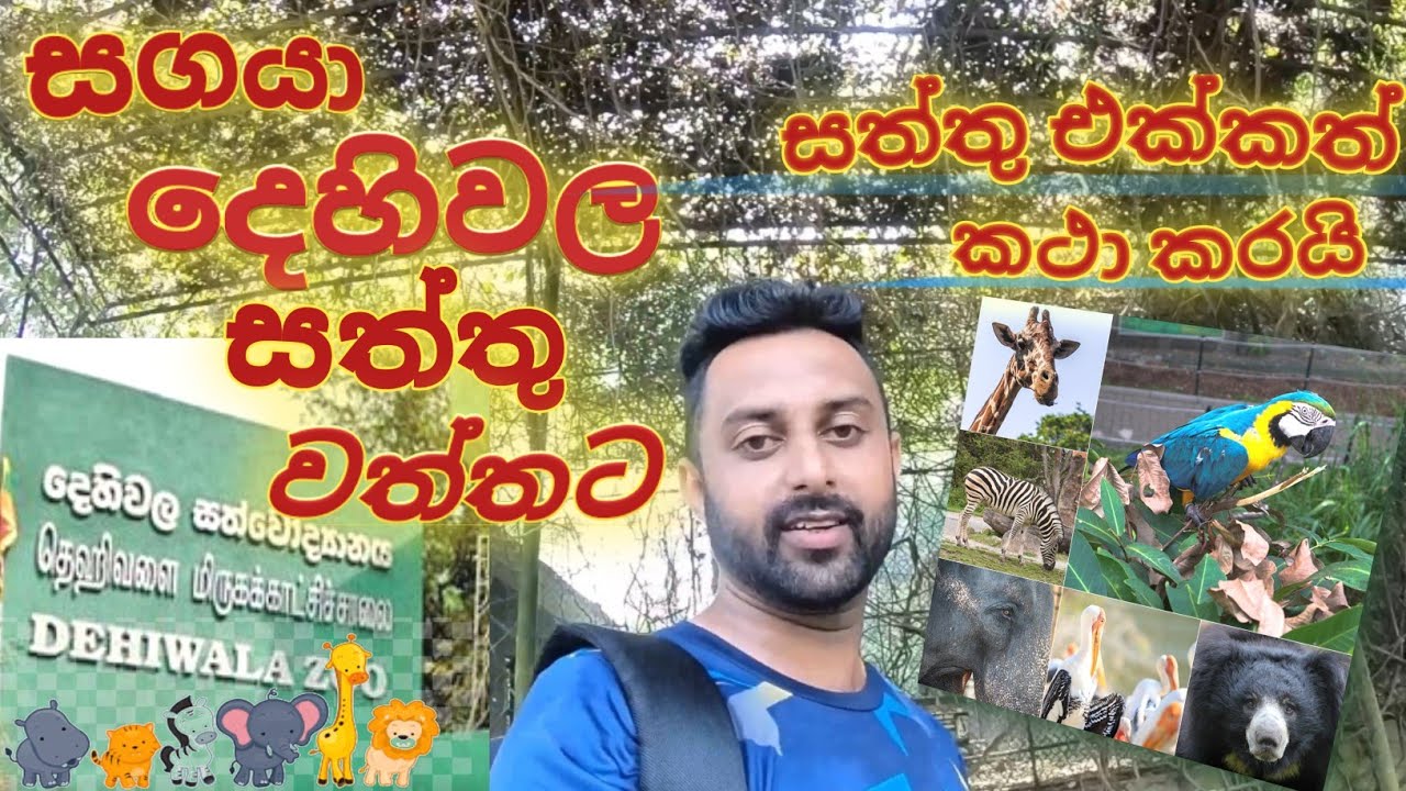 Dehiwala zoo | Dehiwala Zoological Gardens Sri Lanka | Sagaya සගයා Travel vlog