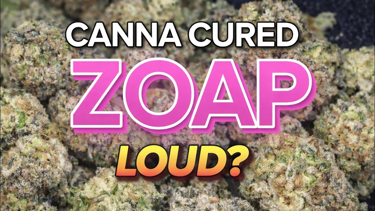 Zoap by Canna Cured Review 👀 Looks Crazy&hellip; But Is It Gas?