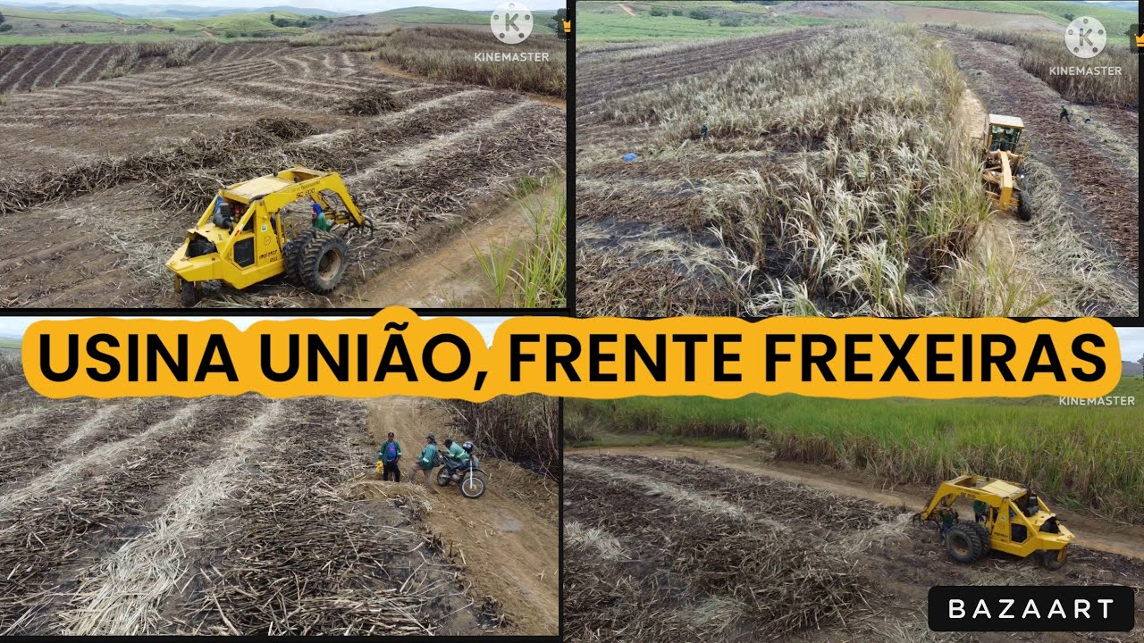 USINA UNIÃO EM PRIMAVERA-PE. FRENTE  CONTENDAS, PRÓXIMA A FREXEIRAS.