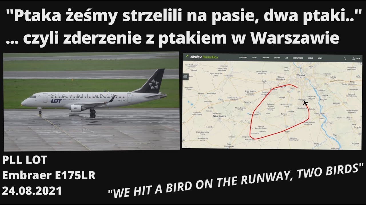 PLL LOT Embraer E175 Kolizja z ptakiem w Warszawie, BIRDSTRIKE IN WARSAW, #ATCPolska
