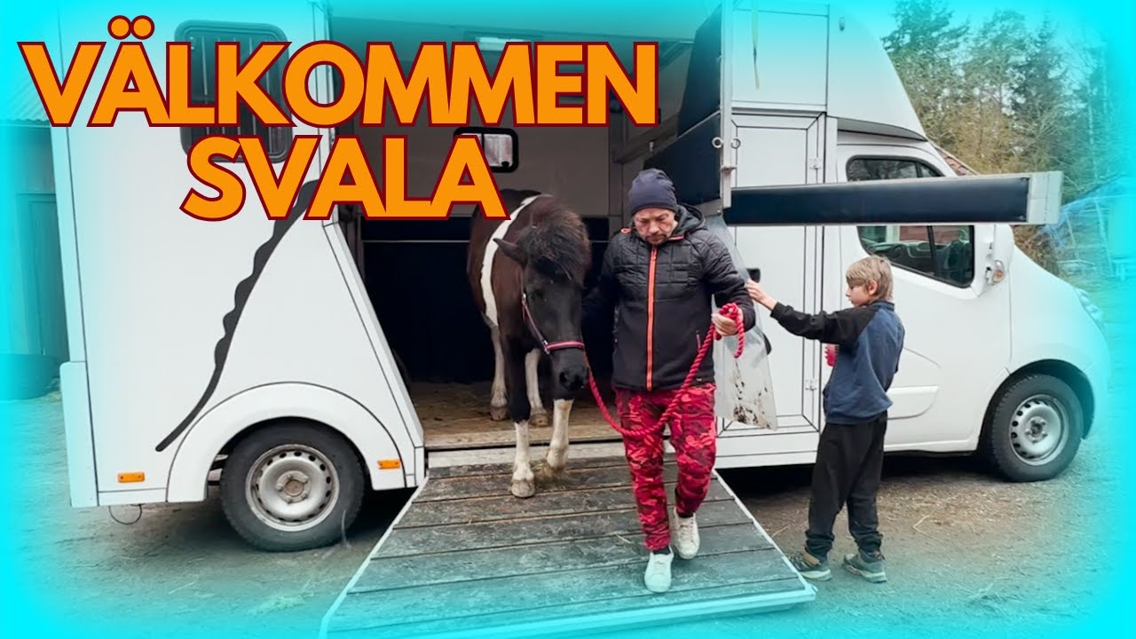 Köpt en till häst. Följ med när vi hämtar vår nya unghäst.