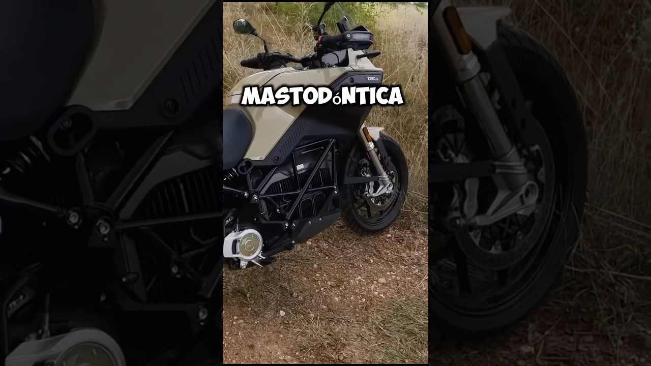 Zero DS 125 la trail el&eacute;ctrica definitiva ⚡️ #zeromotorcycles #ceroemisiones #electricbike