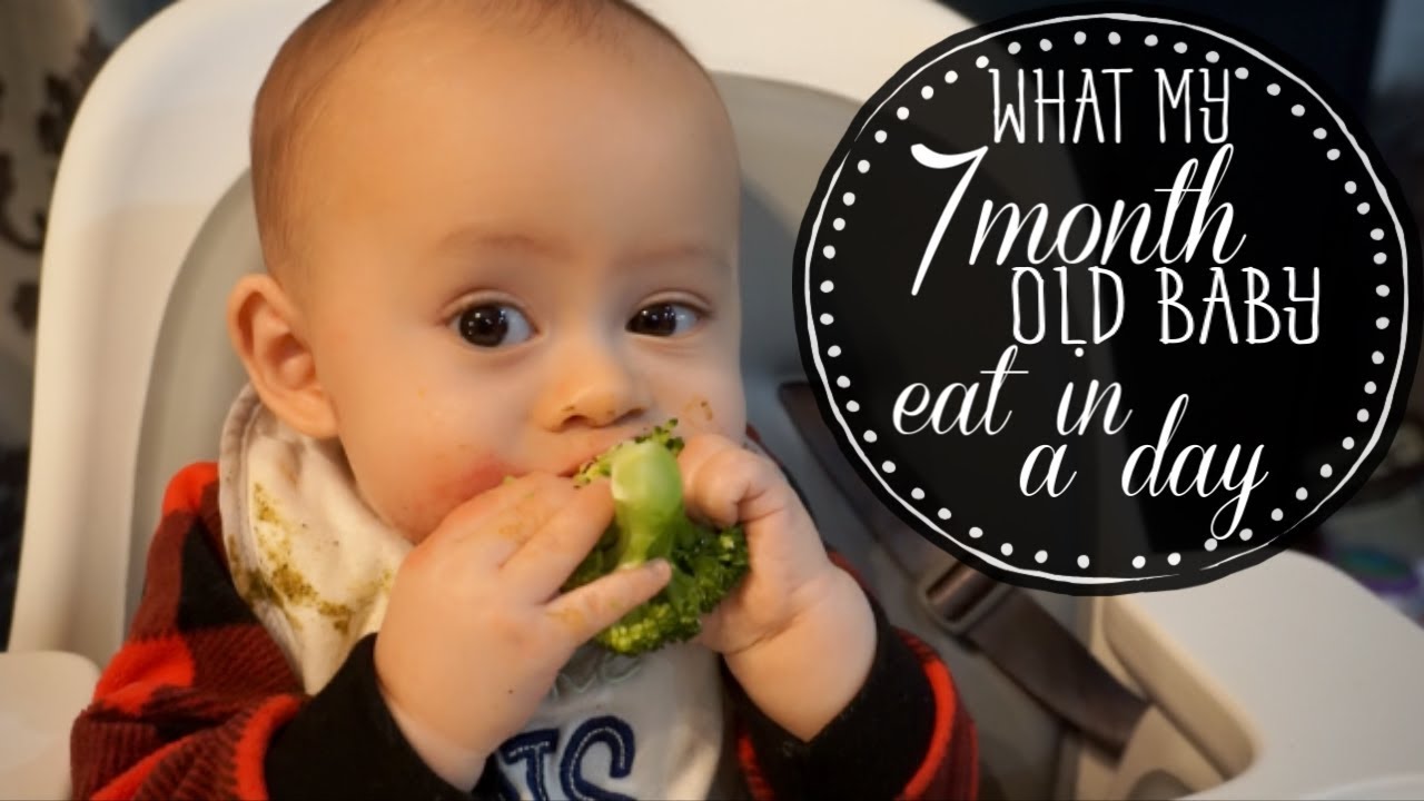 What my 7 month old baby eat in a day