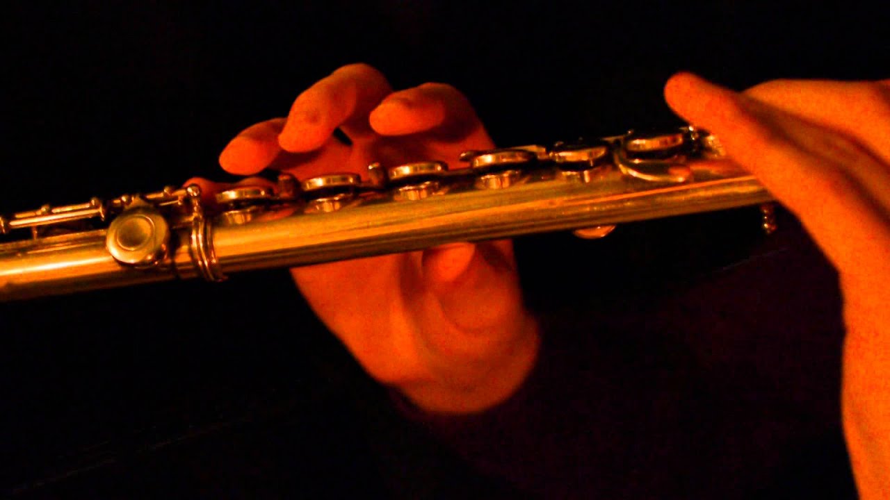 Narnian Lullaby - Flute Cover