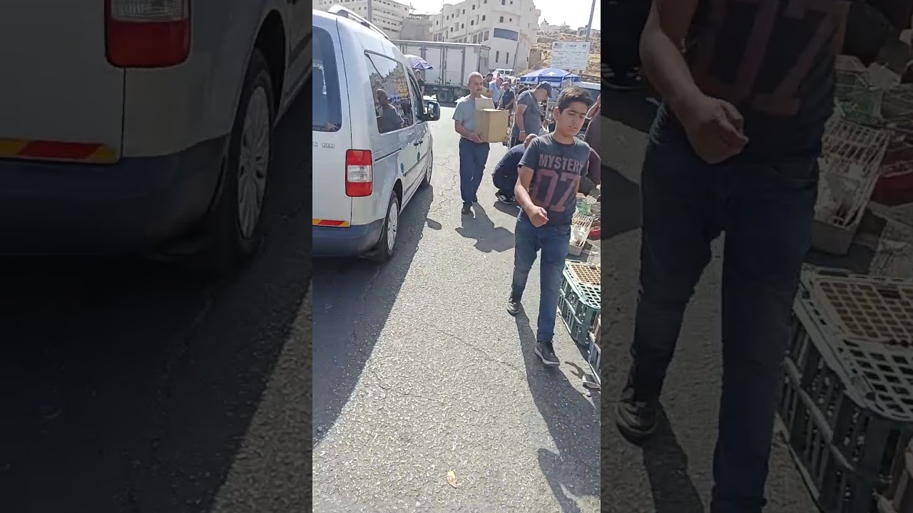 تعرف على جميع انواع الطيور مع الاسعارالفلسطينية افخم سوق طيور  في فلسطين سوق حمام الخليل