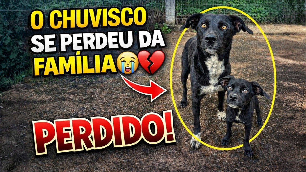 ENCONTRAMOS A MÃE E IRMÃ DO CHUVISCO! 😱 a família perdida do Francisco 🥺