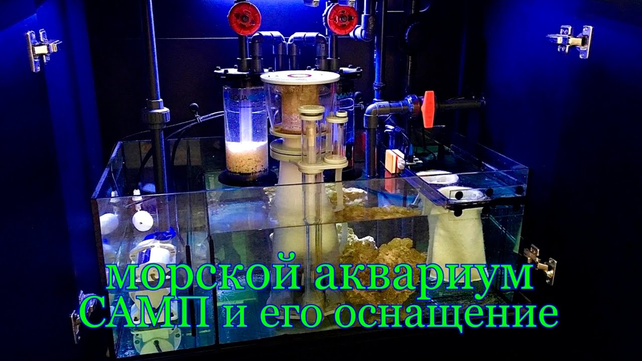 Морской аквариум САМП и его оснащение