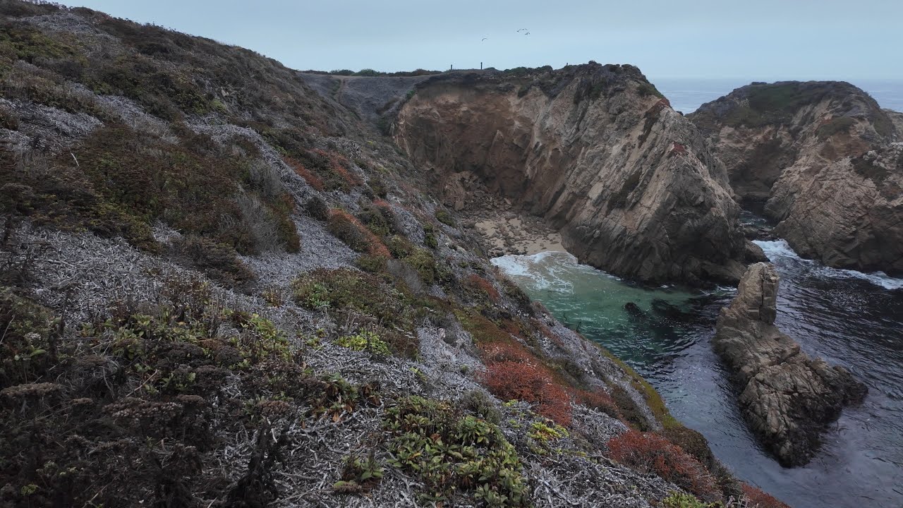 Garrapata State Park: Scenic Summit, Wildflowers, and Ocean Views