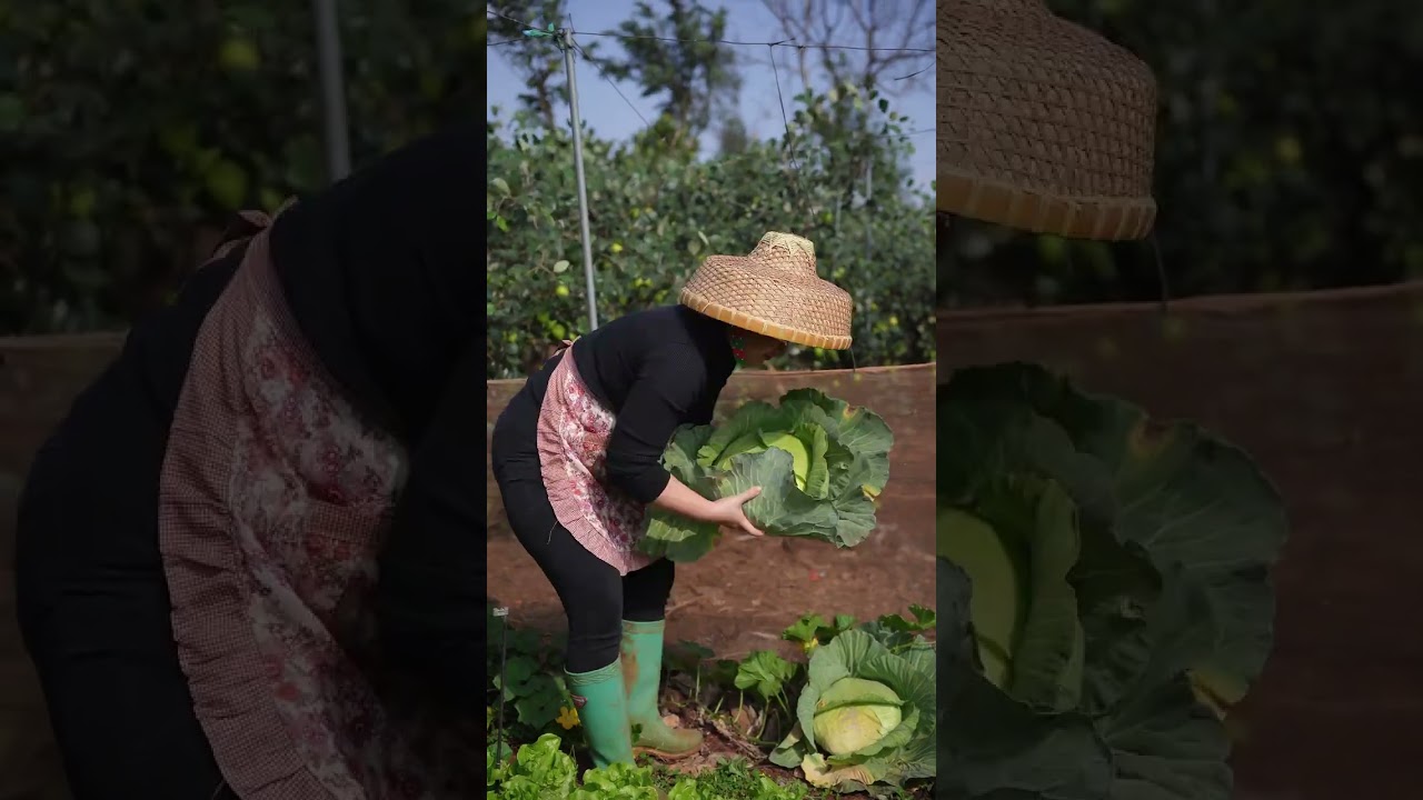 Boost Your Stir-Fry: The Secret to Flavors Unleashed with Lard