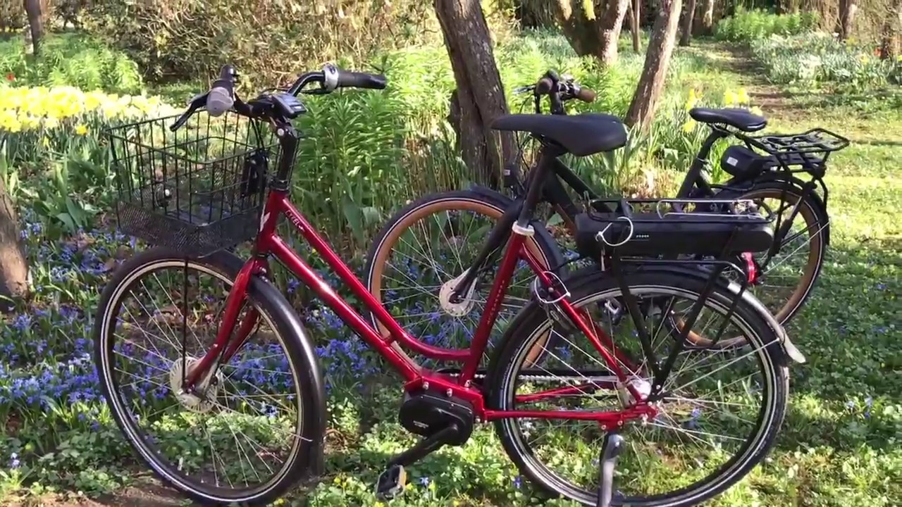 ATT VÄLJA RÄTT ELCYKEL (Batavus Stratos Ego vs. Skeppshult)