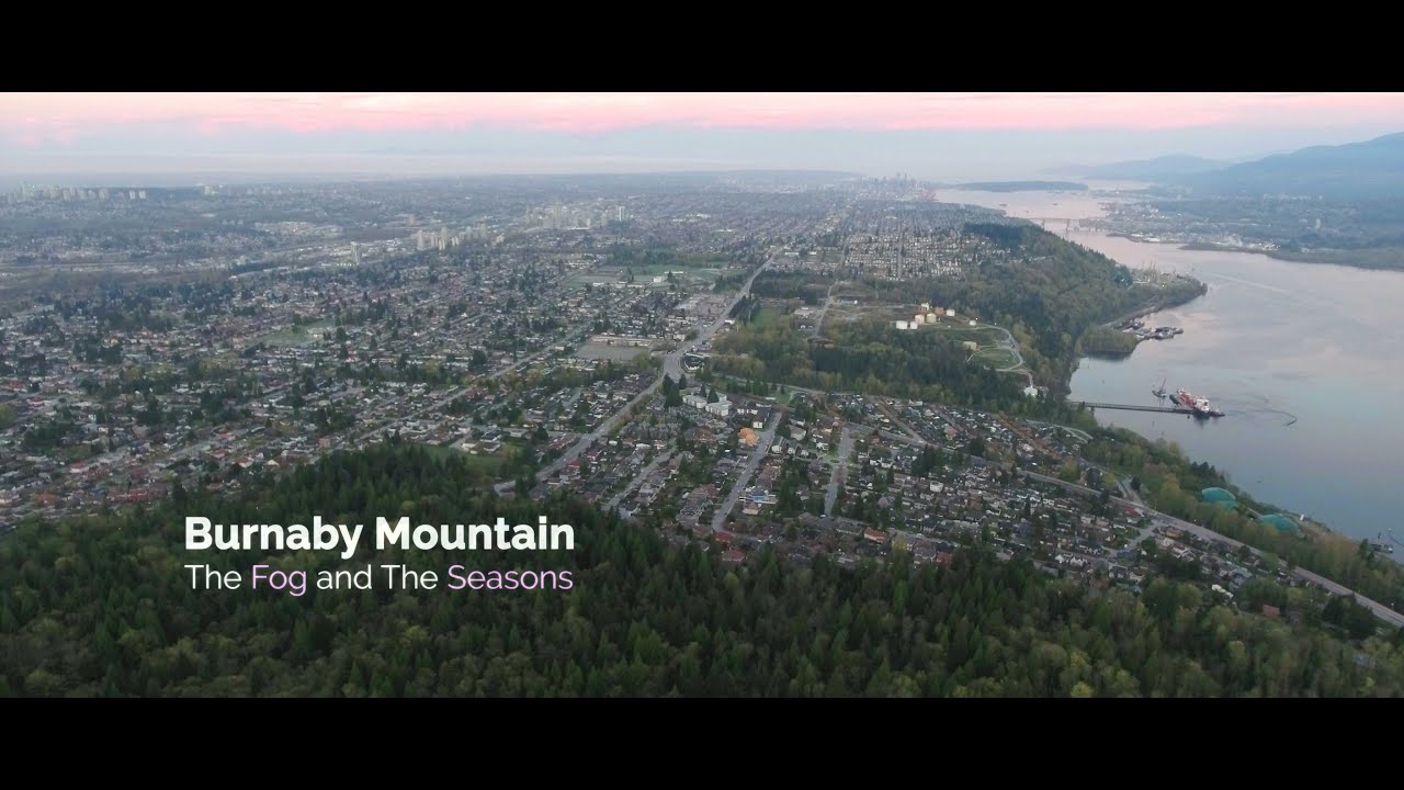 Burnaby Mountain - The Fog and The Seasons