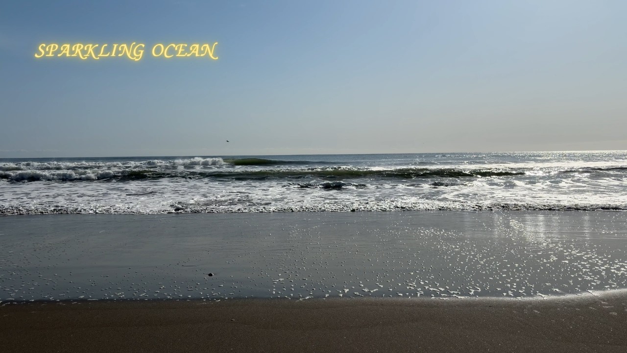 朝の光が躍る海 | Sunlight Dancing on the Waves | 白子海岸 60分 4K