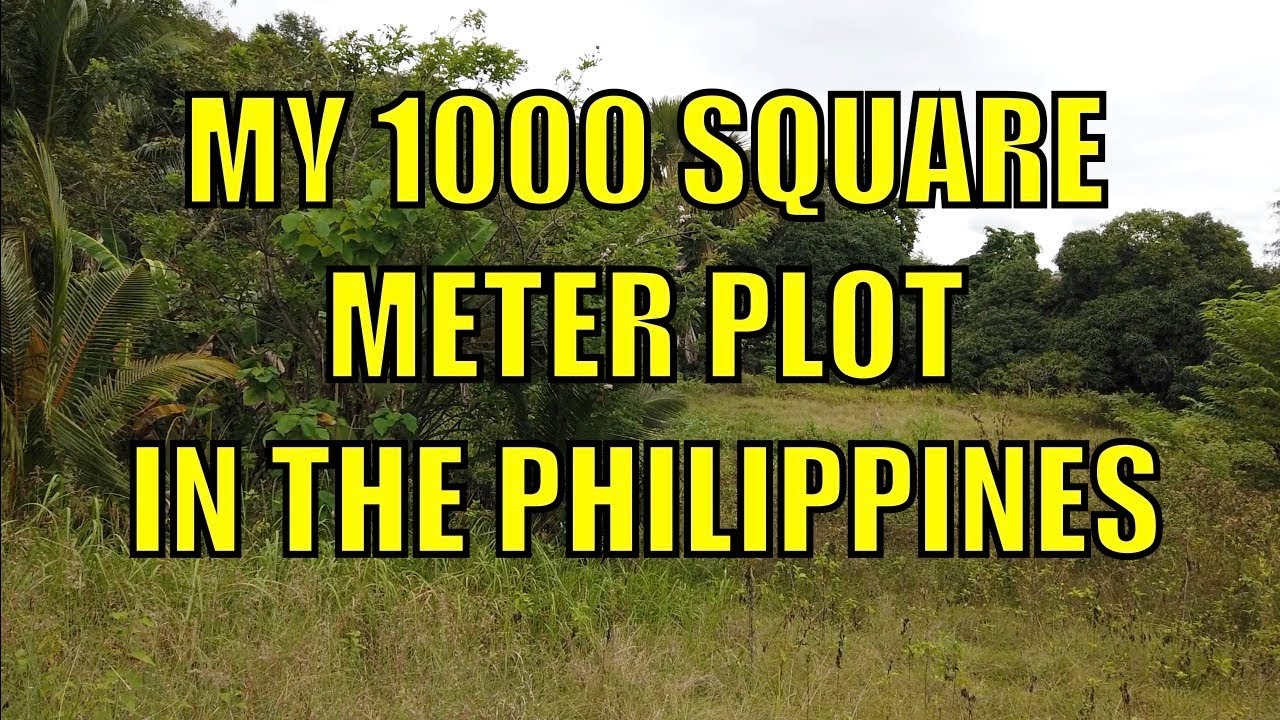 My 1000 Square Meter Plot In The Philippines.