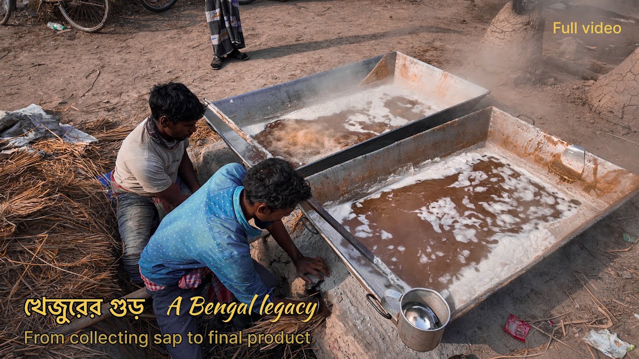 From date palm sap to jaggery | full process of making jaggery (gur) | A winter delicacy of Bengal