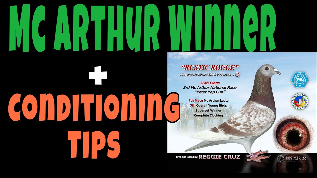 SUPER SET WINNER, 6TH OA CHAMPION, MC ARTHUR WINNER + CONDITIONING TIPS | Reggie Cruz Loft & Aviary