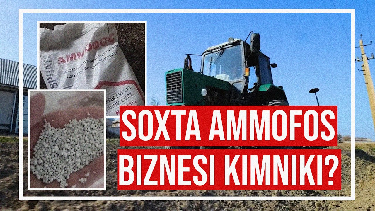 Qozoq shirkati: Klaster fermerlarga sotgan 