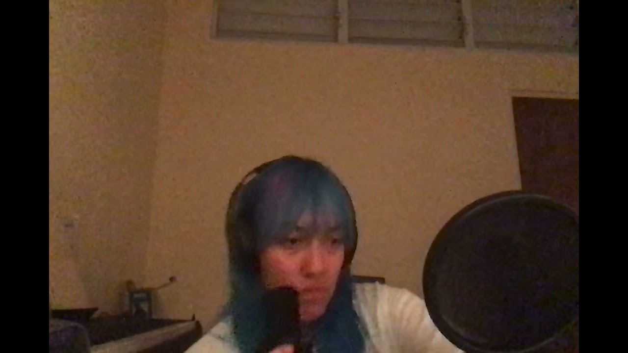 Disfruto- Carla Morrison (cover acapella)