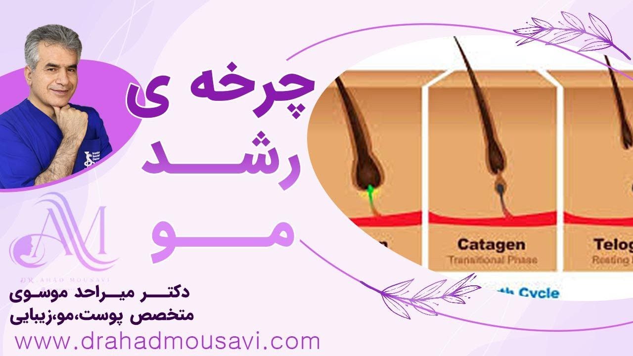 چرخه ی رشد مو چیست