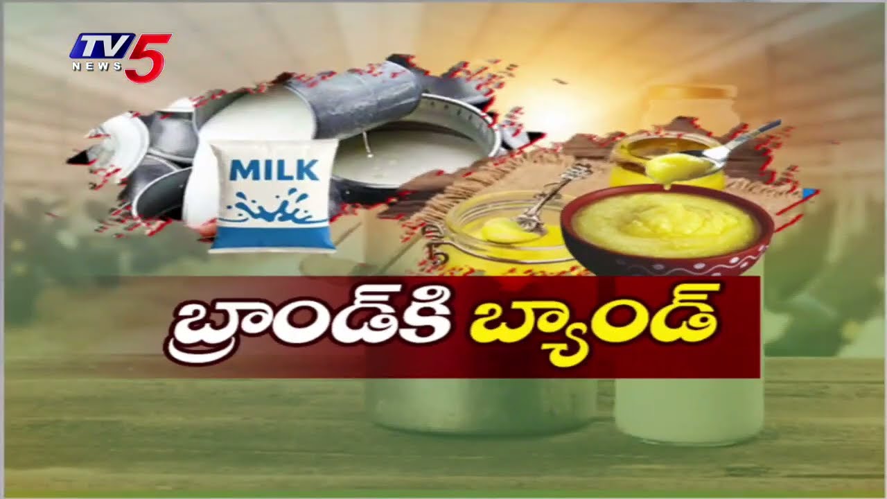 Ground Report : కల్తీ పాపాలు.. | Vijaya Dairy Quality Control Praveen about Adulterated Milk & Ghee
