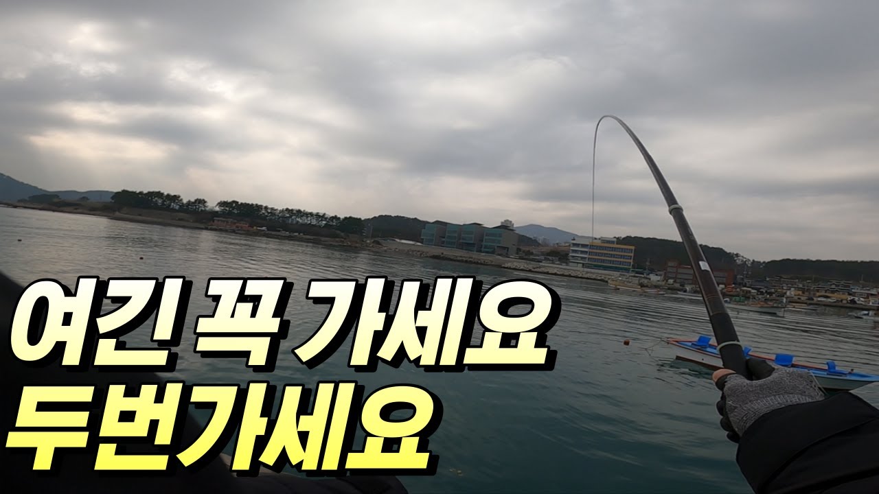 가족단위 캠낚이면 여기가 성지 아닐까요?? feat.이동방파제