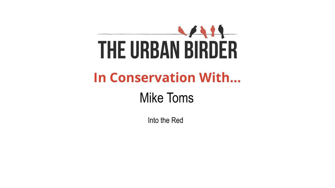 In Conservation With&hellip; Mike Toms