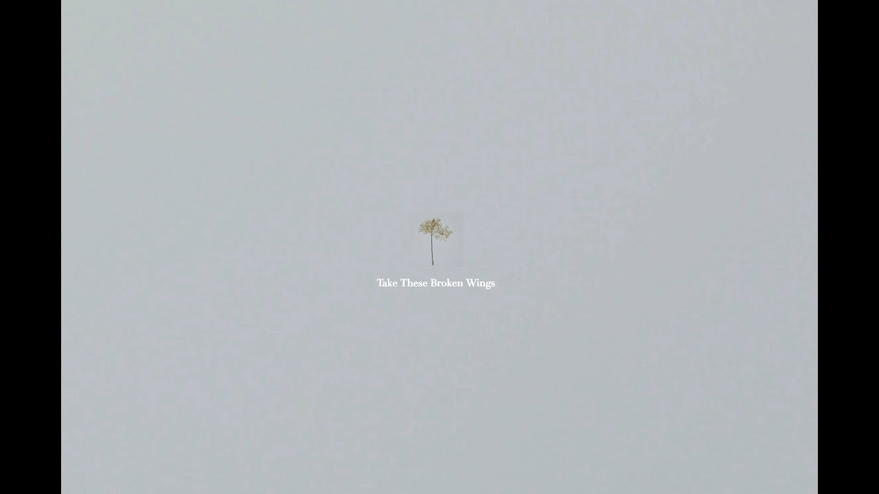 Joachim Heinrich - Take These Broken Wings