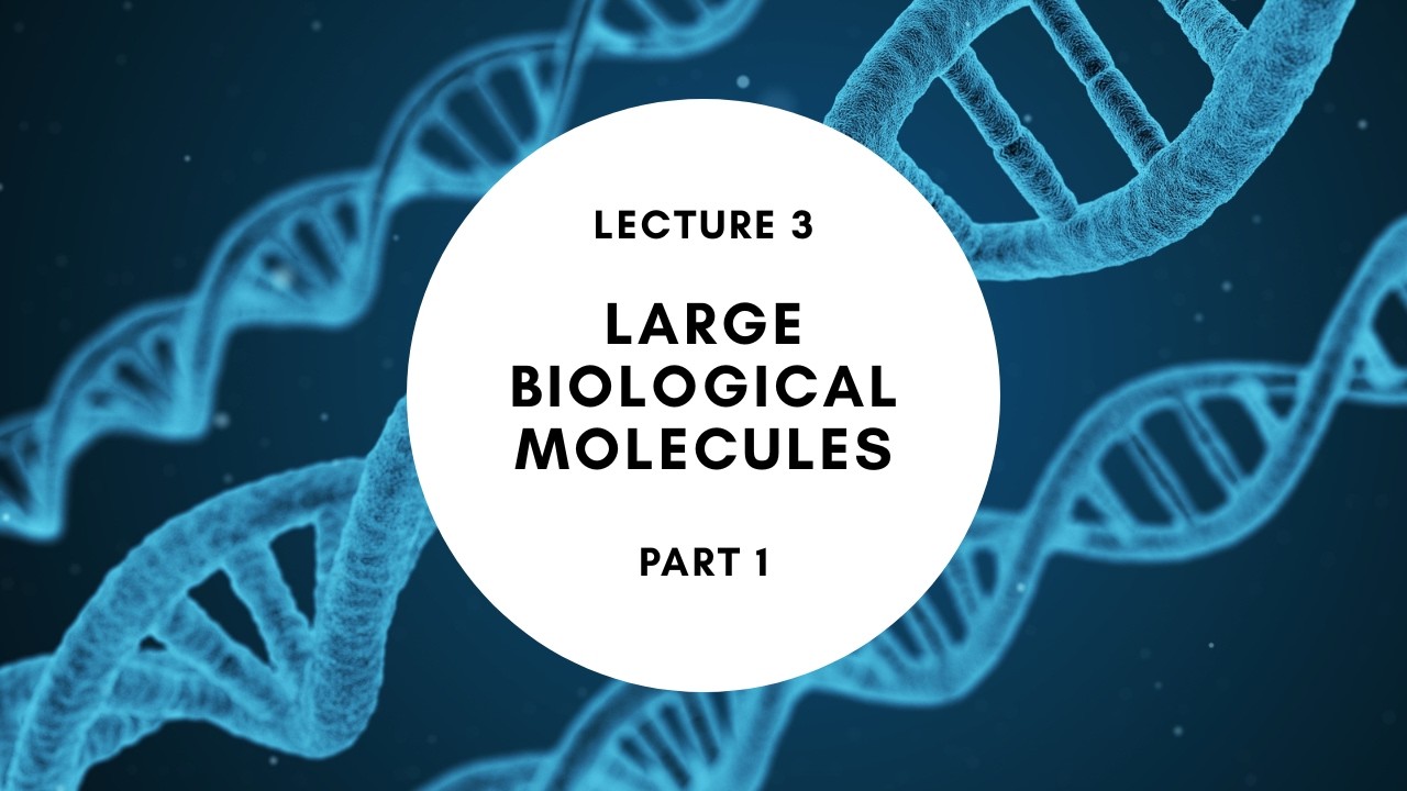 BIOL 201 Lec 03 Large Biological Molecules Part 1