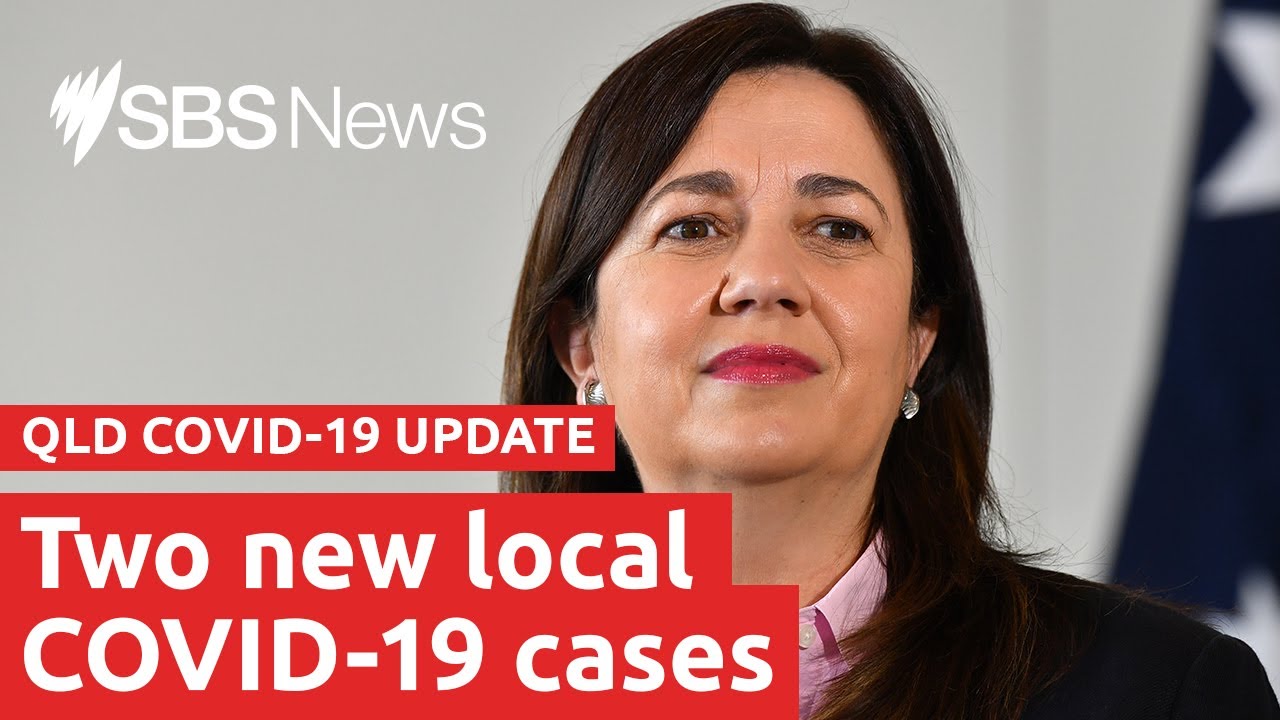 Watch: The QLD COVID-19 Update | SBS News