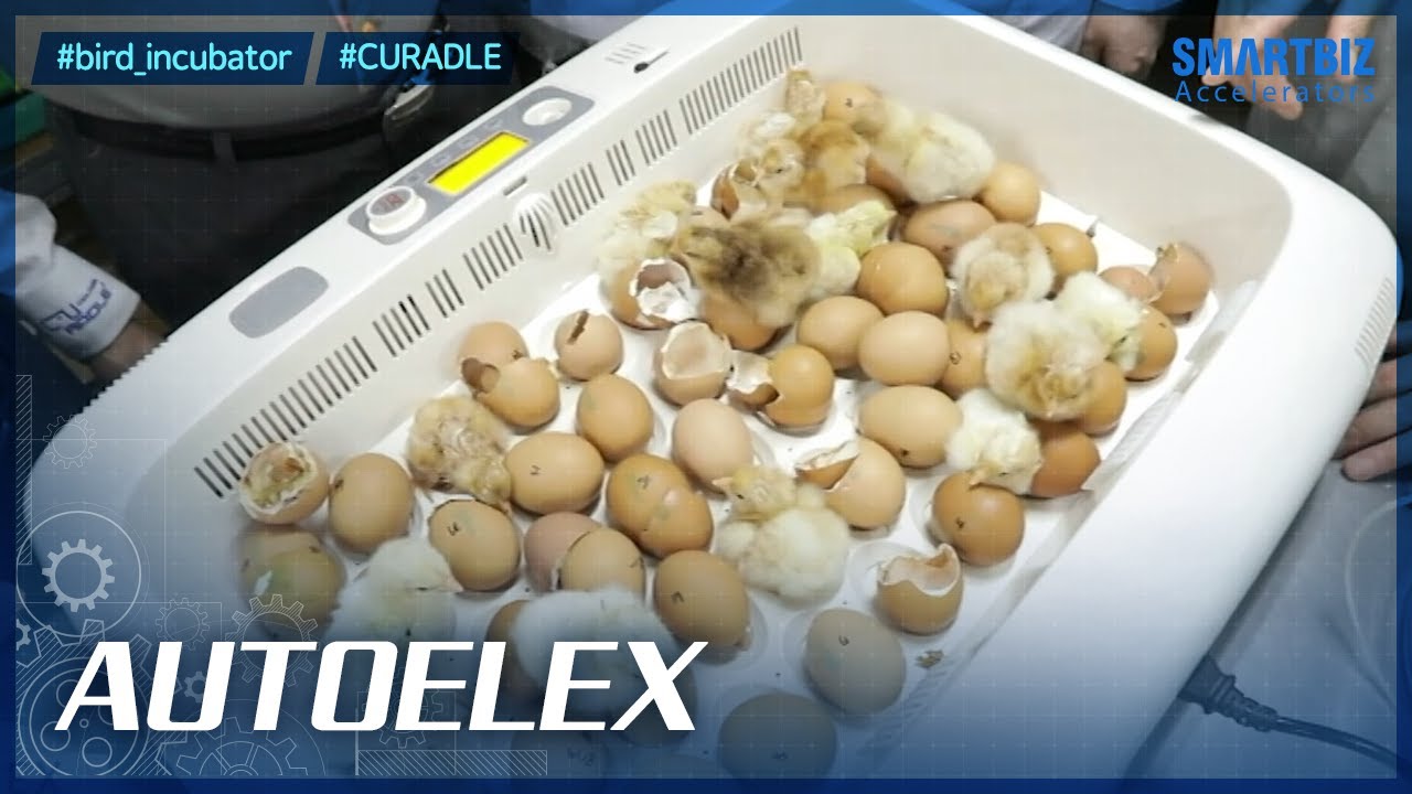 [SmartBiz Accelerators] AUTOELEX, developing a successful model of the smart factory system